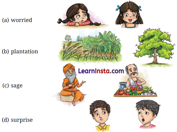 A Bottle of Dew Class 6 Question Answer NCERT Solutions 1