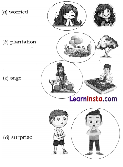 A Bottle of Dew Class 6 Question Answer NCERT Solutions 2