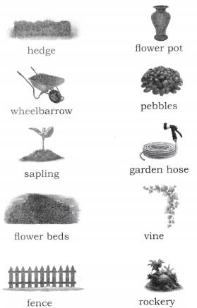 A Concrete Example Question Answer Class 8 English Poorvi Chapter 2 2