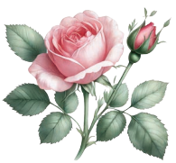 A Funny Man Question Answer Class 7 English Poorvi Chapter 5 2