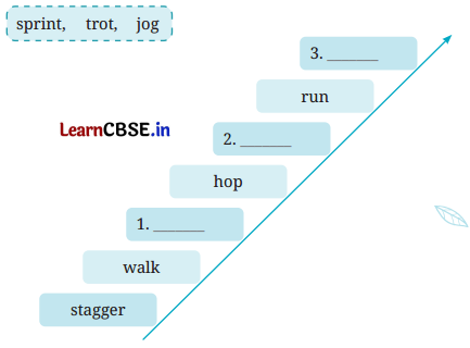 A Funny Man Question Answer Class 7 English Poorvi Chapter 5 6