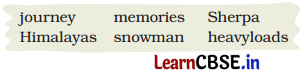 A Journey to the Magical Mountains Class 4 Question Answer English Santoor Chapter 11 2