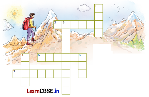 A Journey to the Magical Mountains Class 4 Question Answer English Santoor Chapter 11 3