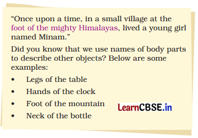 A Journey to the Magical Mountains Class 4 Question Answer English Santoor Chapter 11 5