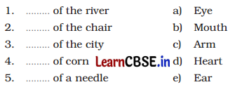 A Journey to the Magical Mountains Class 4 Question Answer English Santoor Chapter 11 6