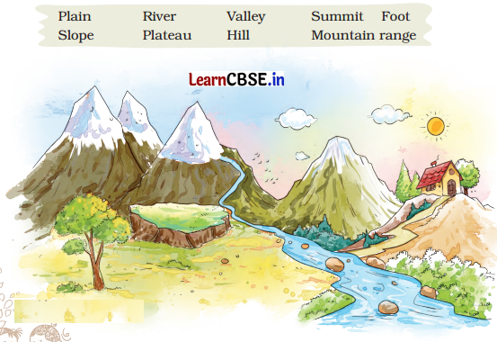 A Journey to the Magical Mountains Class 4 Question Answer English Santoor Chapter 11 7