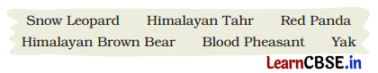 A Journey to the Magical Mountains Class 4 Question Answer English Santoor Chapter 11 9