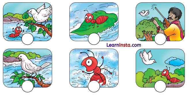 Badal and Moti Class 3 Question Answer NCERT Solutions Class 3 English Chapter 2 6