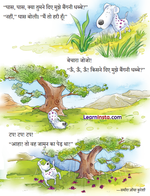 Bagni Class 2 Question Answer Hindi Chapter 11 3