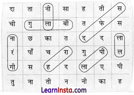 Bagni Class 2 Question Answer Hindi Chapter 11 8