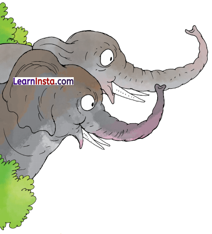 Best Friends Class 3 Question Answer NCERT Solutions Class 3 English Chapter 3 11