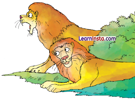 Best Friends Class 3 Question Answer NCERT Solutions Class 3 English Chapter 3 12