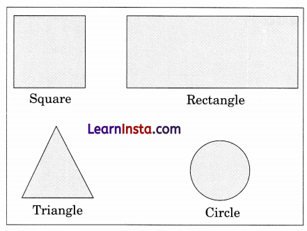 Best Friends Class 3 Question Answer NCERT Solutions Class 3 English Chapter 3 5