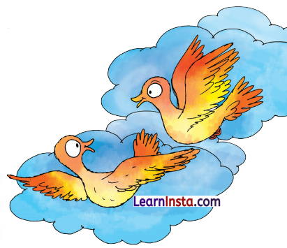 Best Friends Class 3 Question Answer NCERT Solutions Class 3 English Chapter 3 7