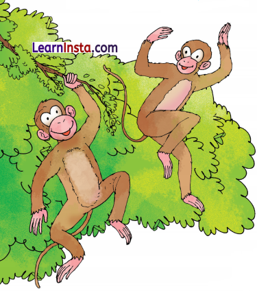 Best Friends Class 3 Question Answer NCERT Solutions Class 3 English Chapter 3 8