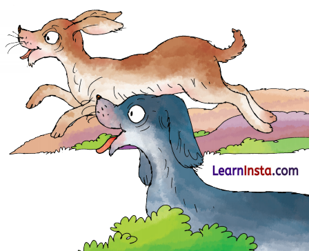 Best Friends Class 3 Question Answer NCERT Solutions Class 3 English Chapter 3 9