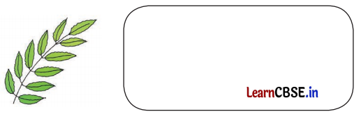 Class 3 EVS Chapter 11 Question Answer in Hindi कैसे बनीं ये वस्तुएँ 5