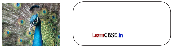 Class 3 EVS Chapter 11 Question Answer in Hindi कैसे बनीं ये वस्तुएँ 6