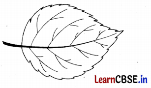 Class 3 EVS Chapter 11 Question Answer in Hindi कैसे बनीं ये वस्तुएँ 8