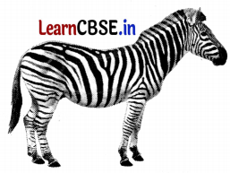 Class 3 EVS Chapter 11 Question Answer in Hindi कैसे बनीं ये वस्तुएँ 9