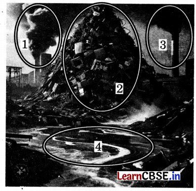 Class 3 EVS Chapter 12 Question Answer in Hindi क्या और कैसे करें इसका 1