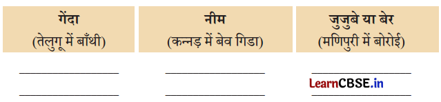 Class 3 EVS Chapter 4 Question Answer in Hindi कुछ खोज पेड़-पौधों की 1