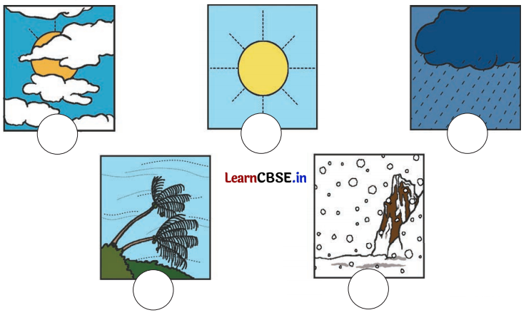 Class 3 EVS Chapter 4 Question Answer in Hindi कुछ खोज पेड़-पौधों की 3