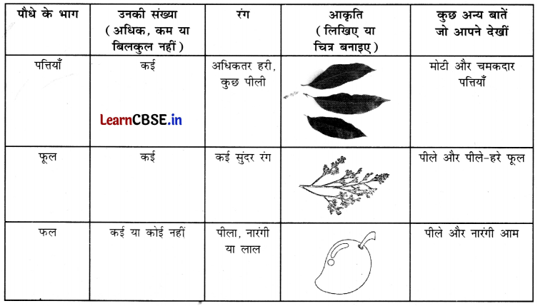 Class 3 EVS Chapter 4 Question Answer in Hindi कुछ खोज पेड़-पौधों की 4