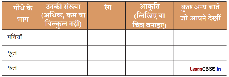 Class 3 EVS Chapter 4 Question Answer in Hindi कुछ खोज पेड़-पौधों की 7