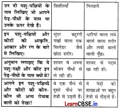 Class 3 EVS Chapter 5 Question Answer in Hindi पेड़-पौधे और पशु-पक्षी हैं साथ 6
