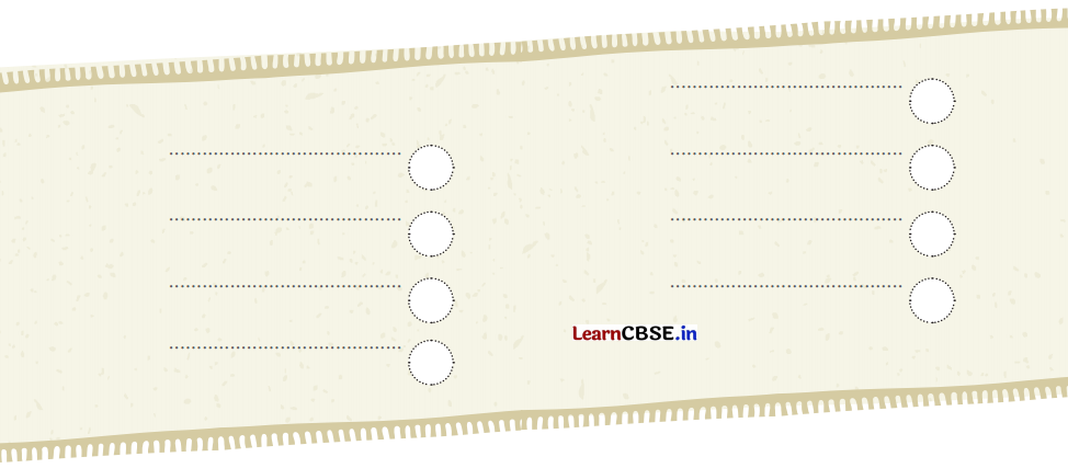 Class 3 Maths Chapter 1 Solutions in Hindi नाम में क्या है 15.2