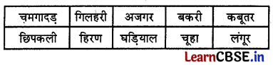 Class 3 Maths Chapter 1 Solutions in Hindi नाम में क्या है 2