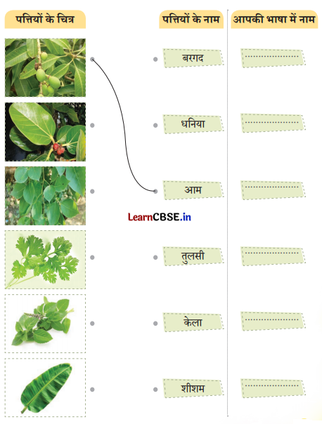 Class 4 Hindi Chapter 3 Question Answer नीम 7