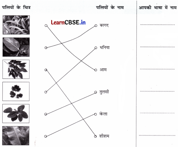 Class 4 Hindi Chapter 3 Question Answer नीम 8