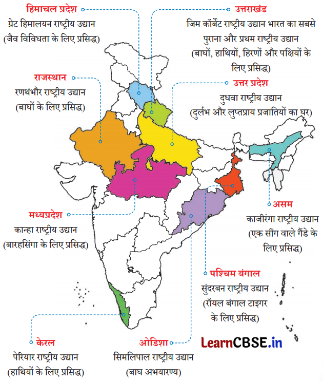 Class 5 Hindi Chapter 8 Question Answer काजीरंगा राष्ट्रीय उद्यान की यात्रा 11