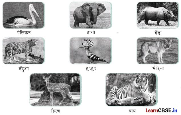 Class 5 Hindi Chapter 8 Question Answer काजीरंगा राष्ट्रीय उद्यान की यात्रा 2