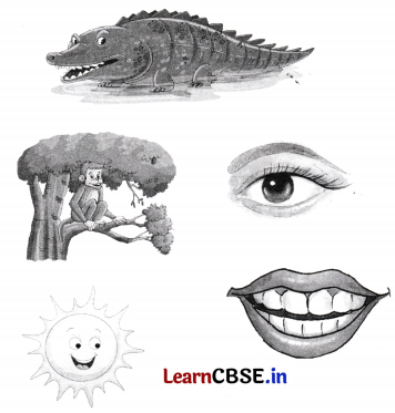 Class 5 Hindi Chapter 9 Question Answer न्याय 6