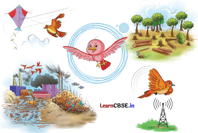 Class 5 Hindi Chapter 9 Question Answer न्याय 7