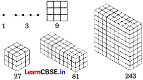 Class 6 Maths Chapter 1 Solutions in Hindi गणित में पैटर्न Page 6 Q5.1