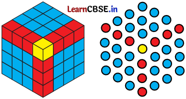 Class 6 Maths Chapter 1 Solutions in Hindi गणित में पैटर्न Page 9 Q8
