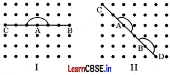 Class 6 Maths Chapter 2 Solutions in Hindi रेखाएँ और कोण Page 29 Q2.1