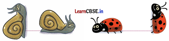 Class 6 Maths Chapter 2 Solutions in Hindi रेखाएँ और कोण Page 45 Q5