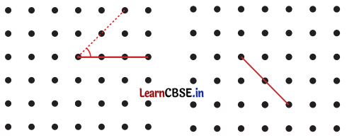Class 6 Maths Chapter 2 Solutions in Hindi रेखाएँ और कोण Page 51 Q1