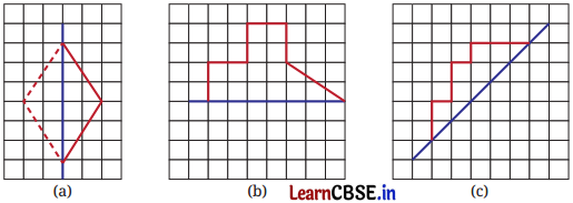 Class 6 Maths Chapter 9 Solutions in Hindi सममिति Page 223 Q11