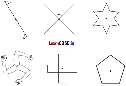 Class 6 Maths Chapter 9 Solutions in Hindi सममिति Page 235 Q3