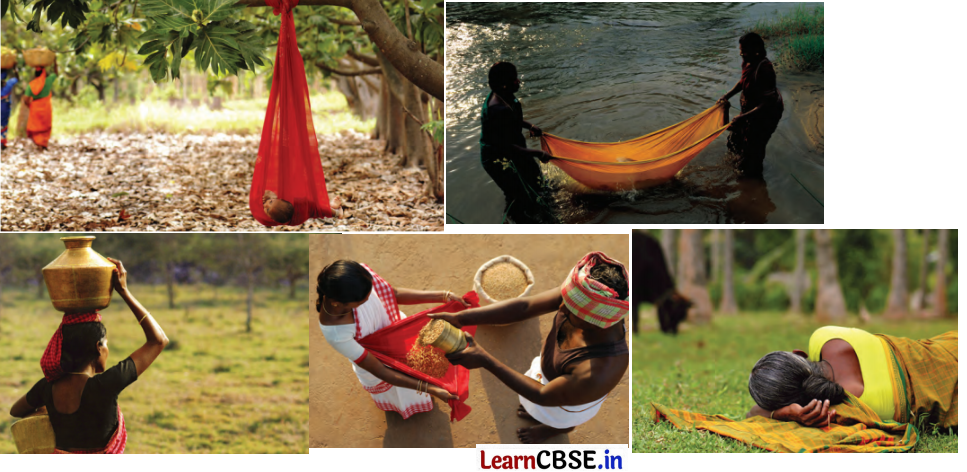 Class 6 SST Chapter 8 Question Answer in Hindi विविधता में एकता या ‘एक में अनेक’ Img 2