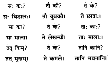 Class 6 Sanskrit Chapter 2 Question Answer Solutions एषः कः एषा का एतत् किम् 11