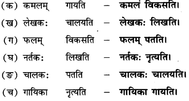 Class 6 Sanskrit Chapter 2 Question Answer Solutions एषः कः एषा का एतत् किम् 14