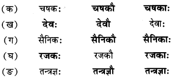 Class 6 Sanskrit Chapter 2 Question Answer Solutions एषः कः एषा का एतत् किम् 2