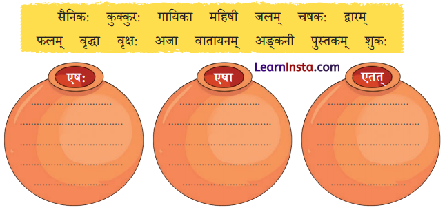 Class 6 Sanskrit Chapter 2 Question Answer Solutions एषः कः एषा का एतत् किम् 8